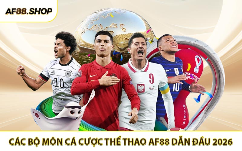 Các bộ môn cá cược thể thao AF88 đang dẫn đầu 2026