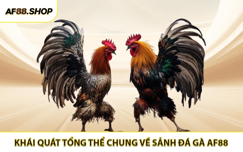 Khái quát tổng thể chung về sảnh đá gà AF88