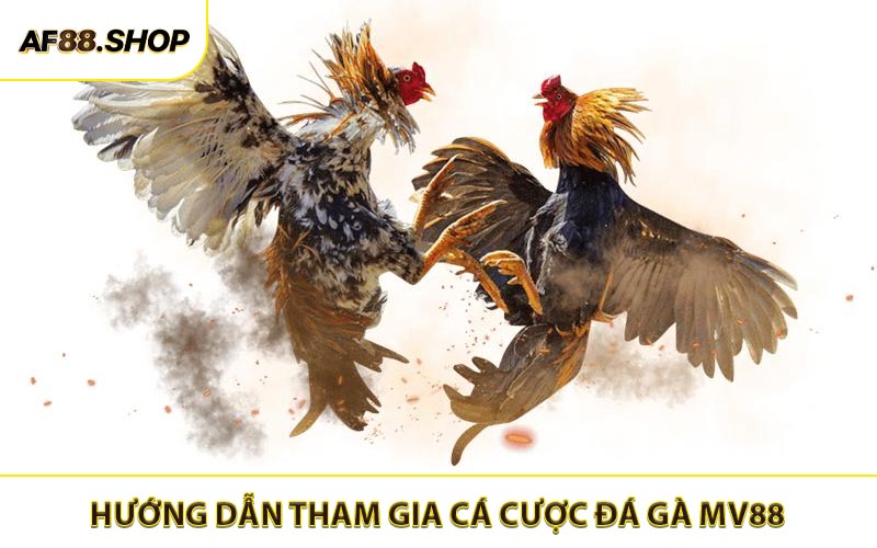 Hướng dẫn tham gia cá cược đá gà MV88