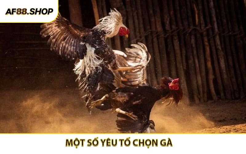 Các yếu tố cần chú ý khi nhận định chất lượng chiến kê